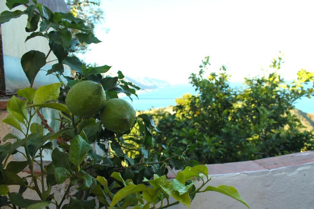 La Via Del Mare Bed & Breakfast Taormina Ngoại thất bức ảnh